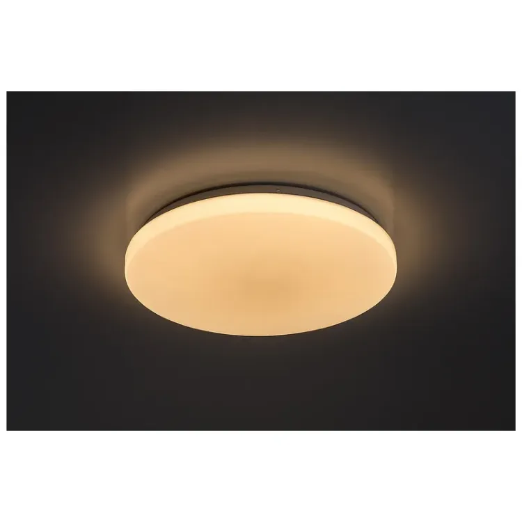 Alles RABALUX LED stropna svjetiljka DANNY2 71442