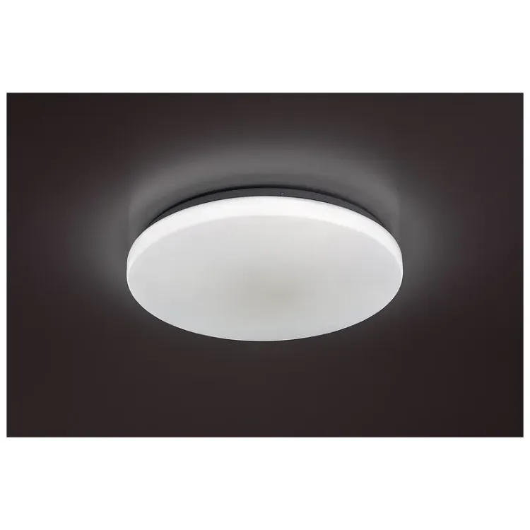 Alles RABALUX LED stropna svjetiljka DANNY2 71442
