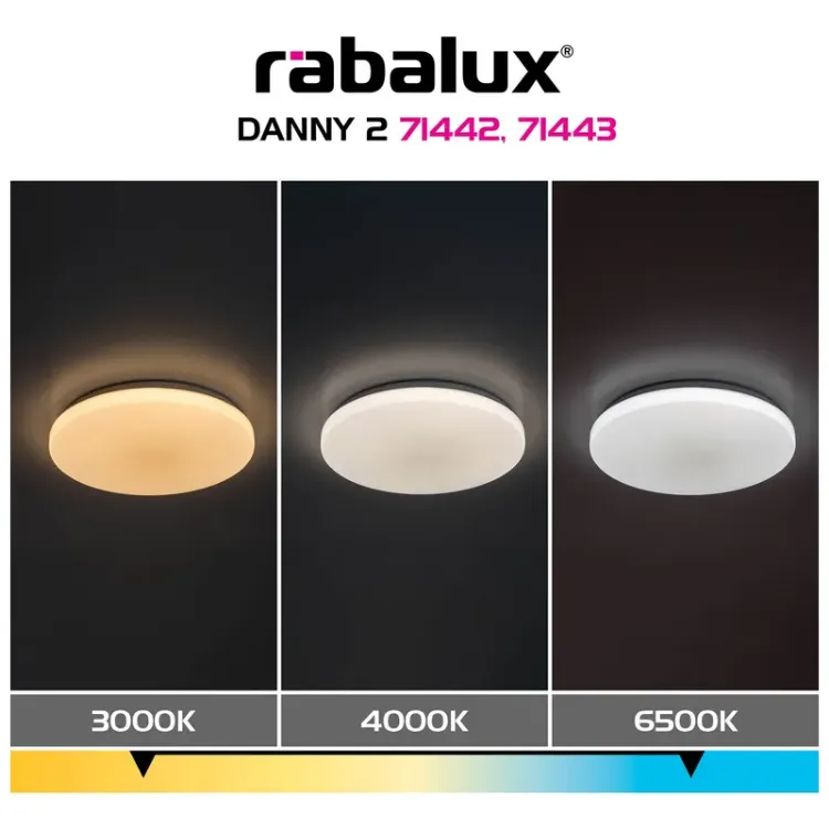 Alles RABALUX LED stropna svjetiljka DANNY2 71442