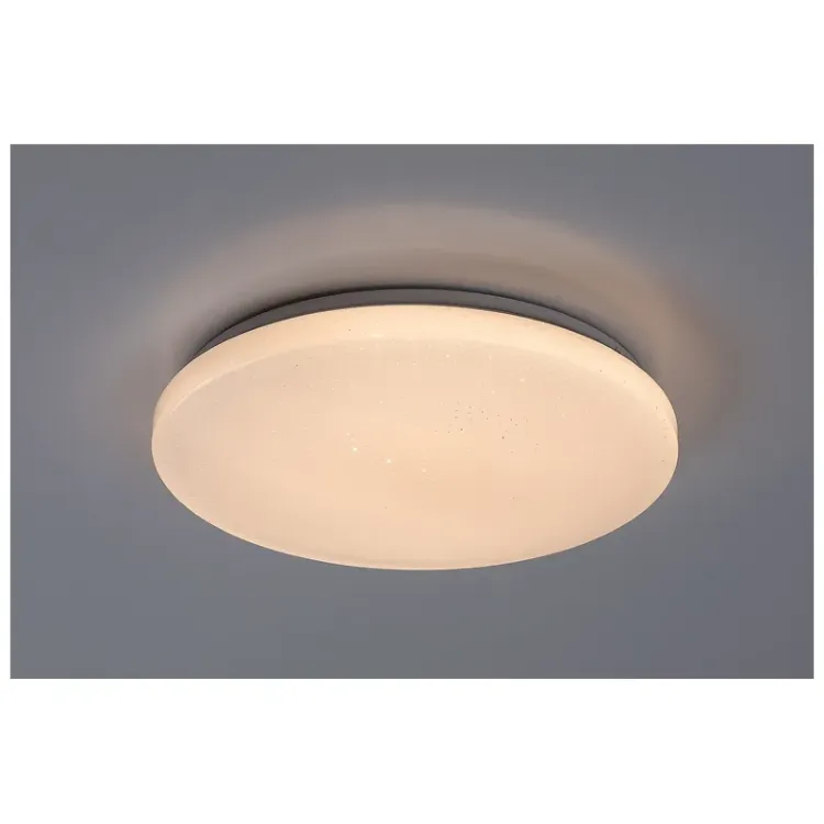 Alles RABALUX LED stropna svjetiljka DANNY2 71445