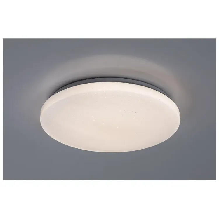 Alles RABALUX LED stropna svjetiljka DANNY2 71445
