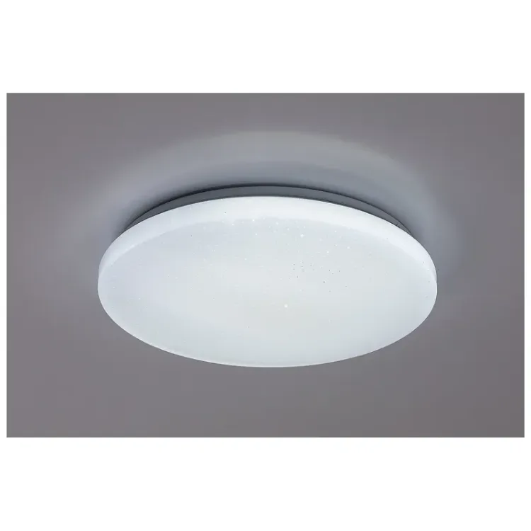 Alles RABALUX LED stropna svjetiljka DANNY2 71445