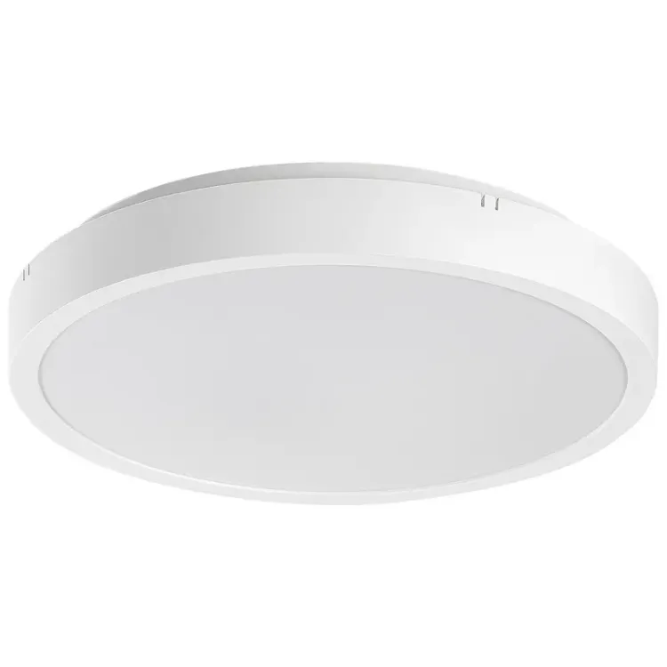 Alles RABALUX LED stropna svjetiljka ALENZO 71425