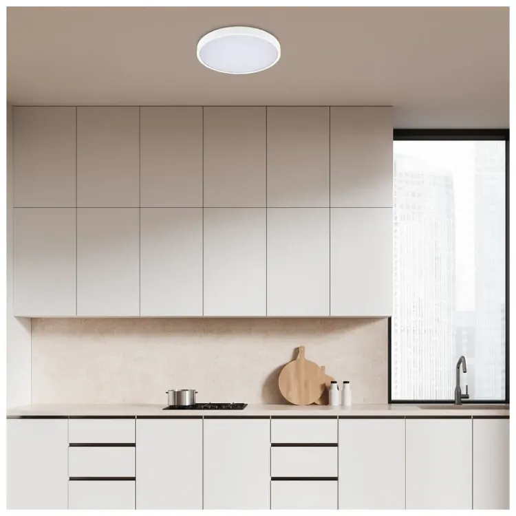 Alles RABALUX LED stropna svjetiljka ALENZO 71427