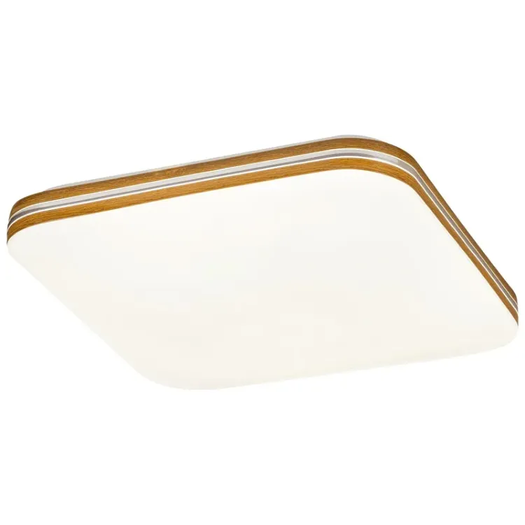 Alles RABALUX LED stropna svjetiljka OSCAR2 71174