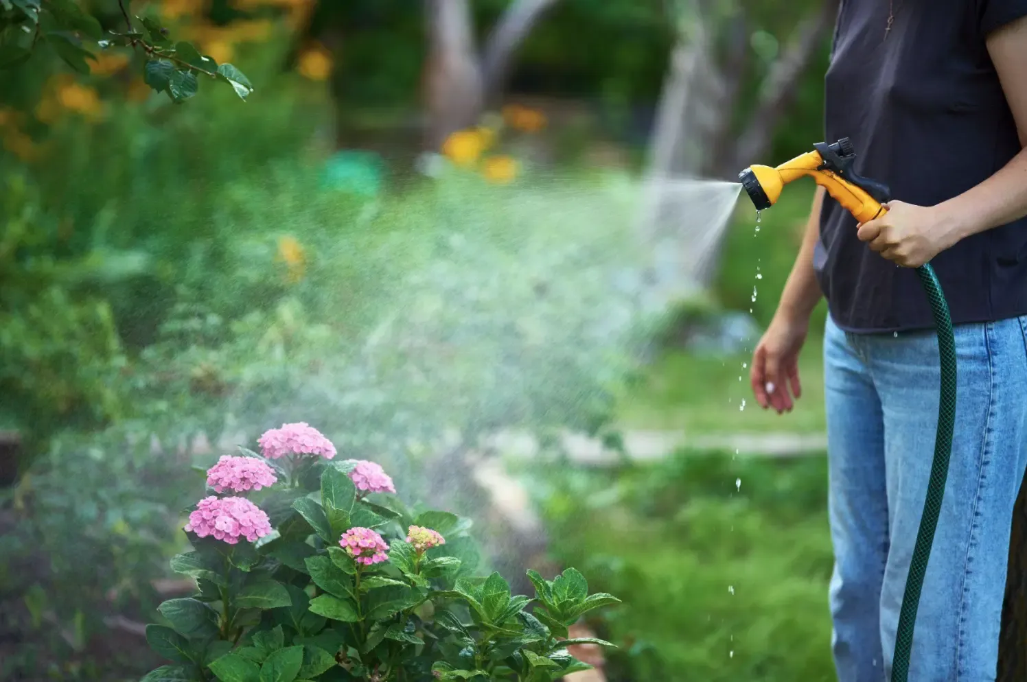 vrtlarenje-za-pocetnike